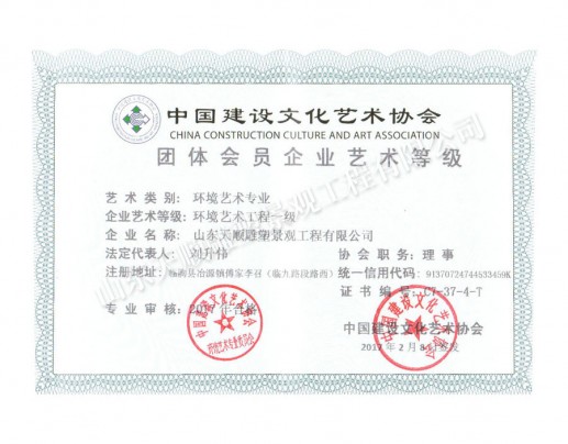 環(huán)境藝術(shù)企業(yè)藝術(shù)等級證書